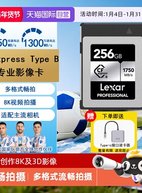 【自营】雷克沙CFE-B单反数码相机内存卡佳能/尼康松下大疆存储卡