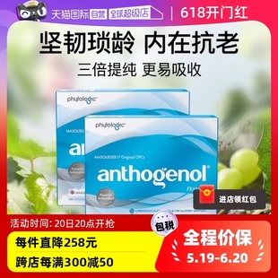 Anthogenol月光宝盒低聚原花青素葡萄籽精华胶囊100粒 自营