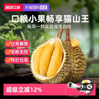市舶士D197猫山王榴莲口粮小果