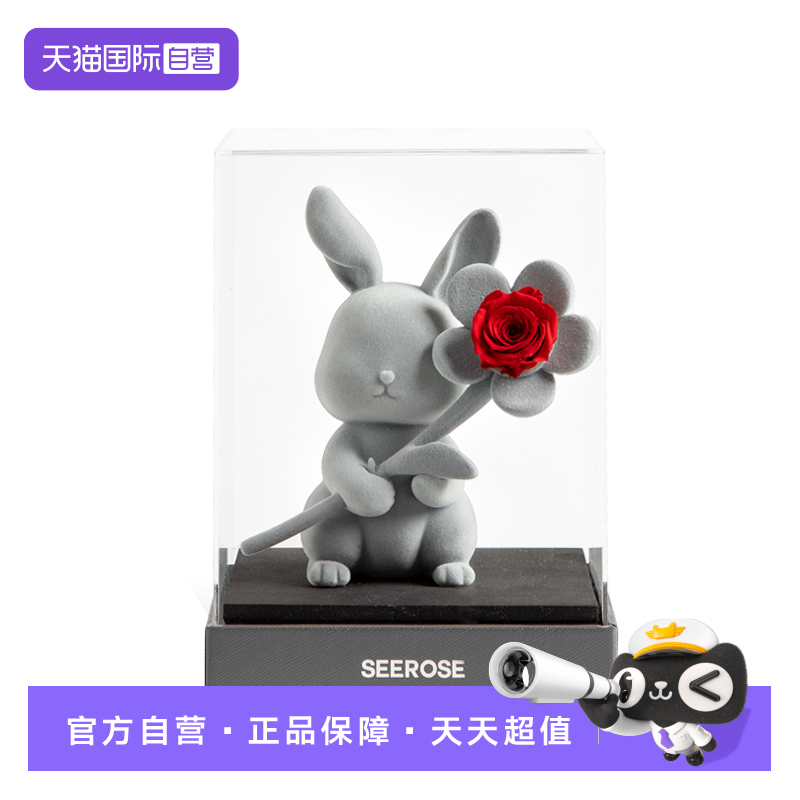 SEEROSE永生花送老婆朋友礼物