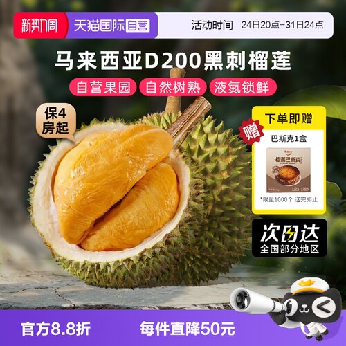 自营马来西亚黑刺榴莲整果树熟