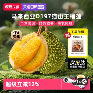 市舶士马来西亚进口D197猫山王榴莲液氮整果新鲜水果顺丰 自营