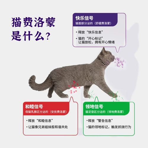 [Автономный] набор feliway Cat Friends, диффузор + 48 мл пополняющая жидкость Конфликт между несколькими кошками