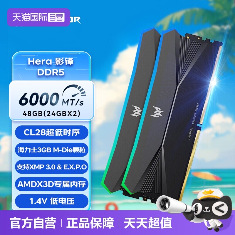 6000c2824Gx2台式内存条掠夺者图片