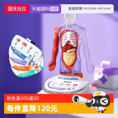 科学罐头人体解剖教学玩具