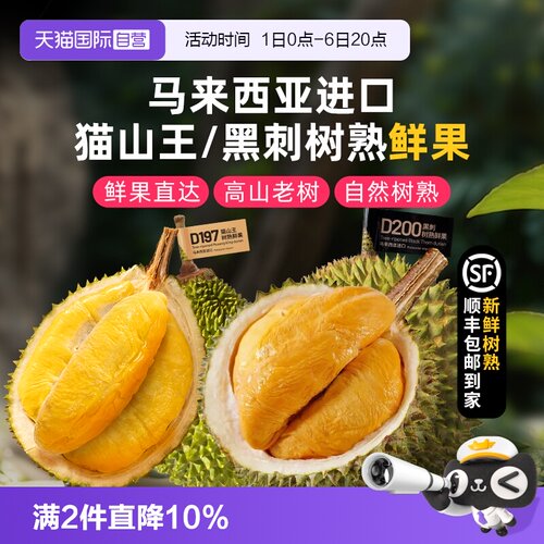 市舶士马来西亚猫山王黑刺榴莲