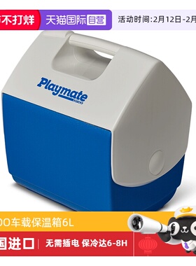 【自营】IGLOO美国户外保温箱车载迷你冷藏箱母乳食品药品保鲜6L