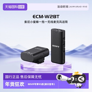 自营 W2BT小蜜蜂一拖一 索尼 ECM 无线麦克风话筒配件 SONY