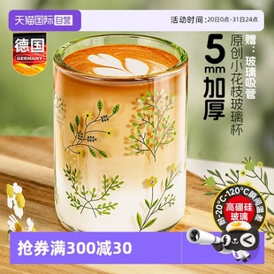 自营 加厚玻璃啤酒杯咖啡牛奶单层家用喝水杯子女高颜值耐高温