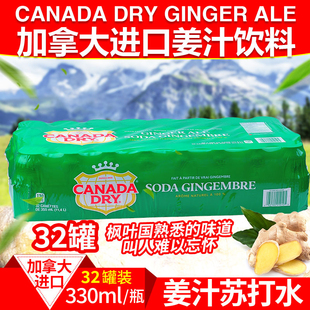 包邮 Ale 加拿大Canada Ginger 姜汁汽水干姜水生姜水24罐 dry 顺丰