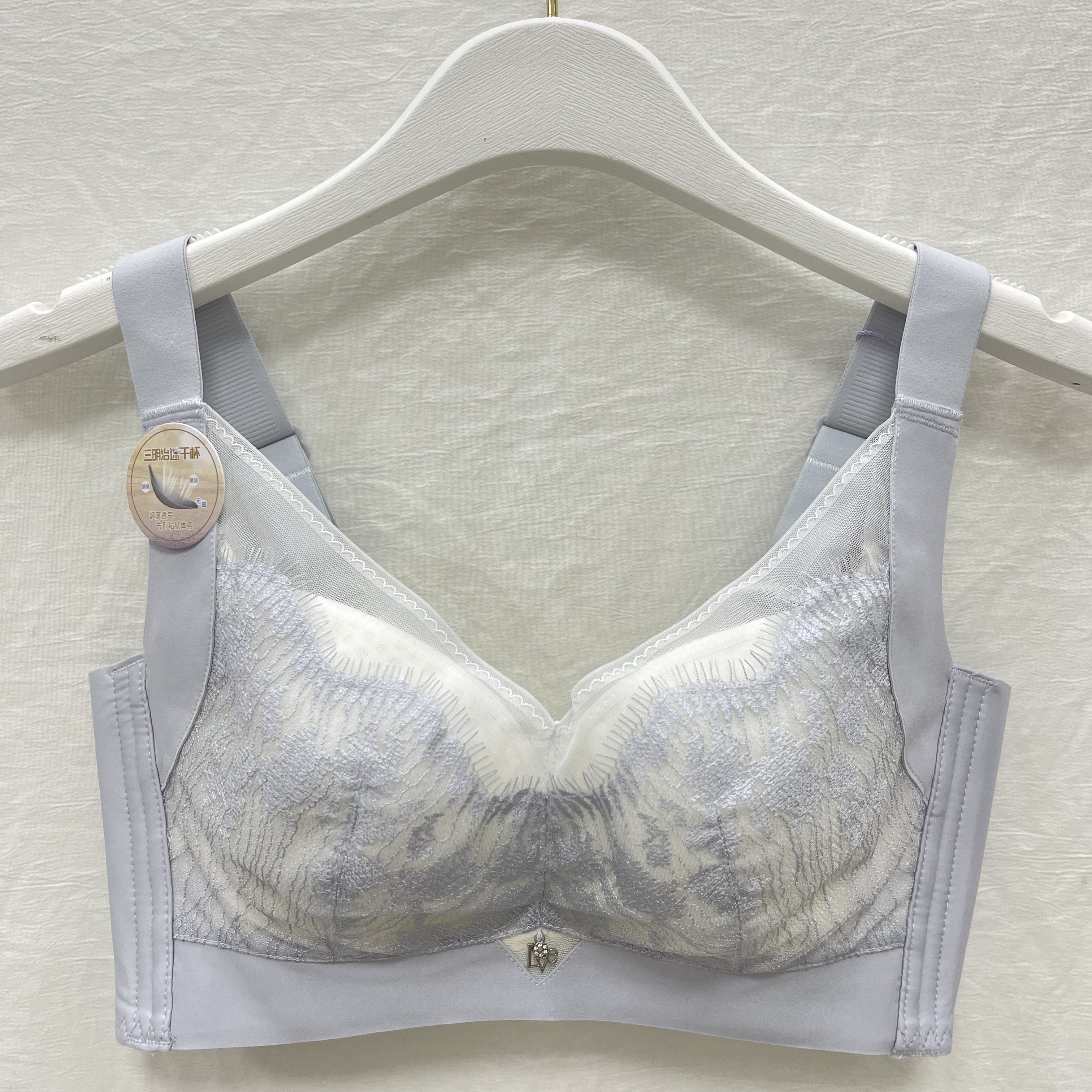 性感蕾丝无钢圈聚拢纸片杯