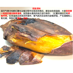 【三碗专属】源自河北太行山-昼夜温差养出糖心蜜薯·鲜红薯