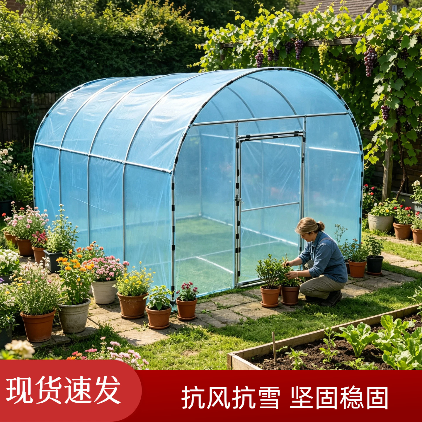 农村院子阳光棚家用绿植保温阳台种植育苗花棚一体成型可拆卸