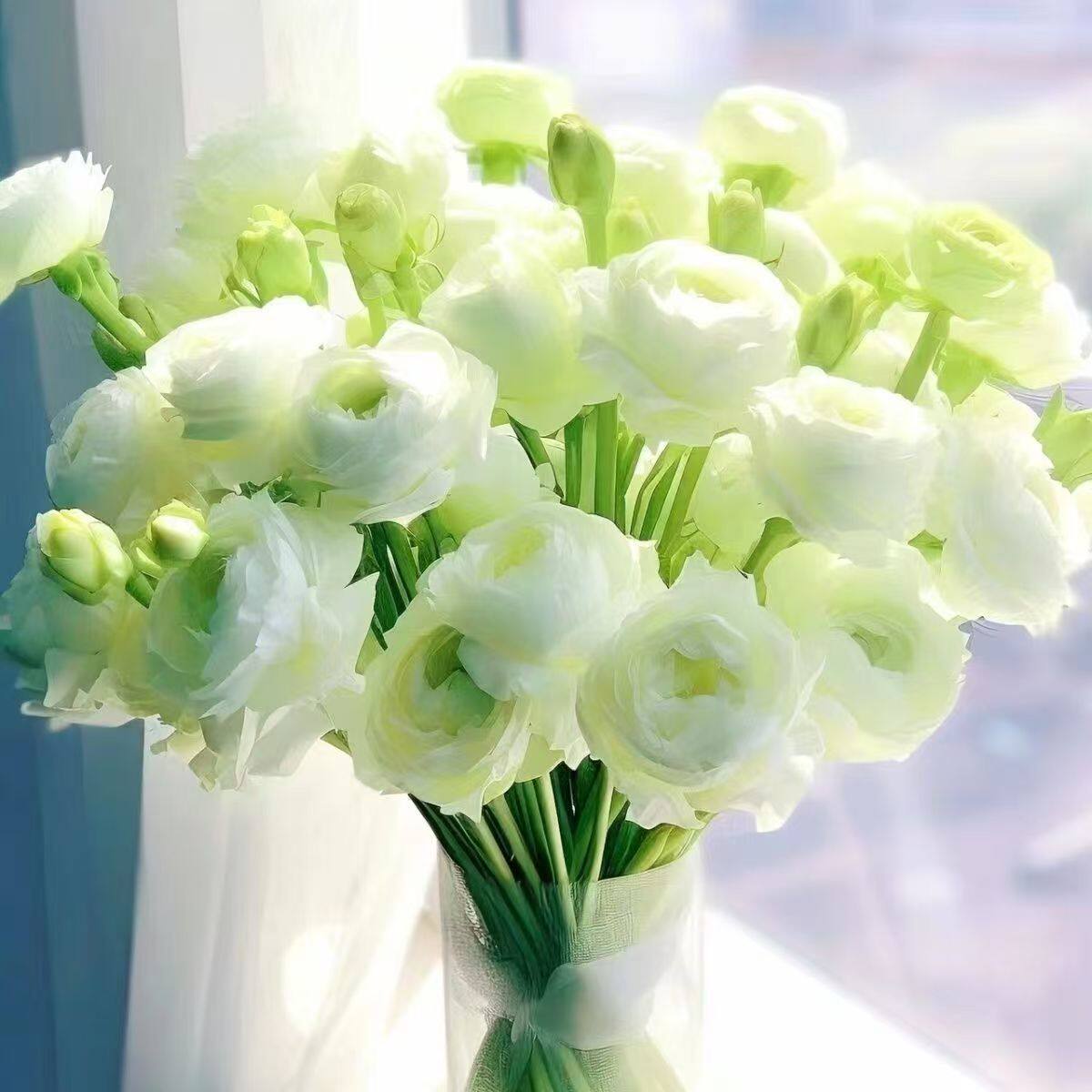 A级洋桔梗真花鲜花插花花束礼物