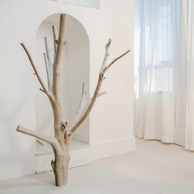 森系背景墙DIY天然干树枝