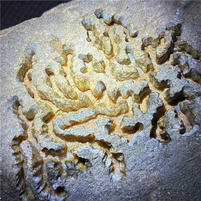 翡翠原石玉石毛料莫西沙敞口开窗料肉质细腻满黄表现起雾手镯牌子