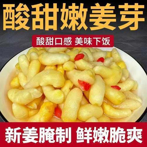 枸杞泡姜芽山东淄博特产新鲜嫩姜芽腌制泡菜下饭菜糖醋生姜姜片