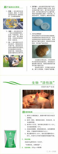帝一方活生肽调节肠道菌群祛除氨气味