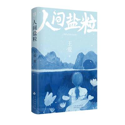 正版人间盐粒王爱王爱书店文学书籍 畅想畅销书