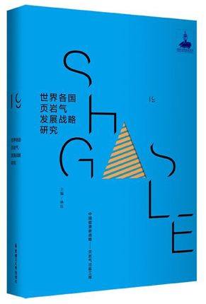 正版包邮 世界各国页岩气发展战略研究 林珏 石油、天然气工业书籍 畅想畅销书