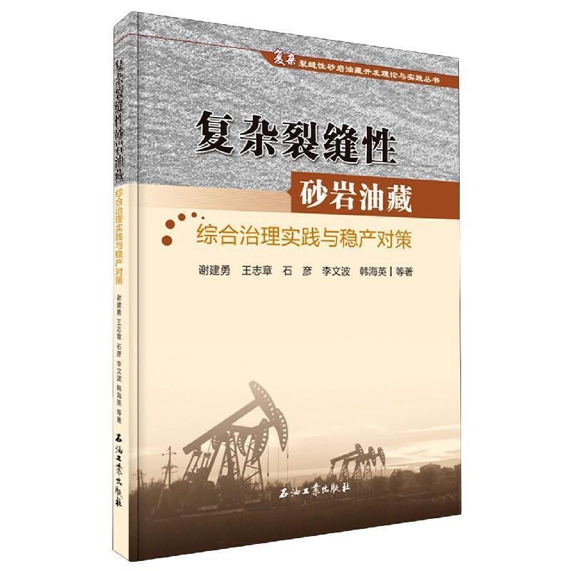 正版复杂裂缝砂岩油藏综合治理实践与稳产对策志章书店工业技术书籍 畅想畅销书