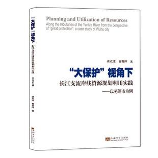 区域经济书籍 梁双波 大保护 正版 畅想畅销书 费 书店 视角下长江支流岸线资源规划利用实践：以芜湖市为例 免邮