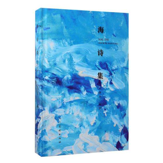 正版包邮 海诗集 王海诗绘 书店 名家画集书籍 畅想畅销书