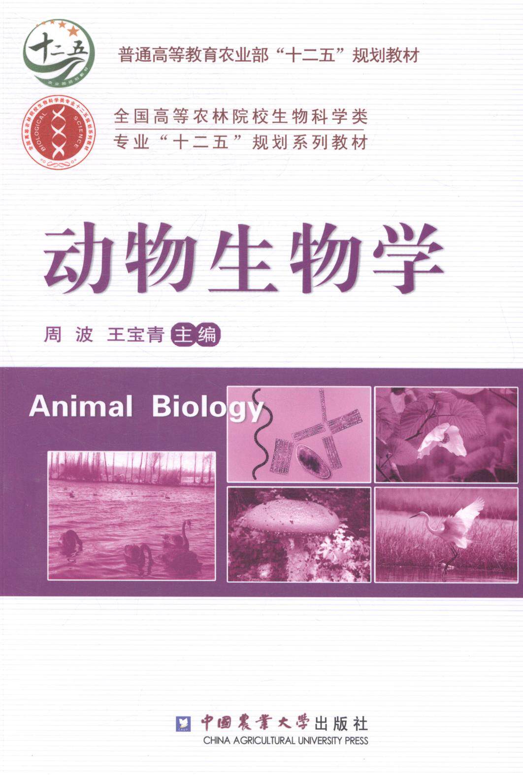 正版包邮 动物生物学 周波 书店 动物学书籍 畅想畅销书 畅想畅销书怎么样,好用不?