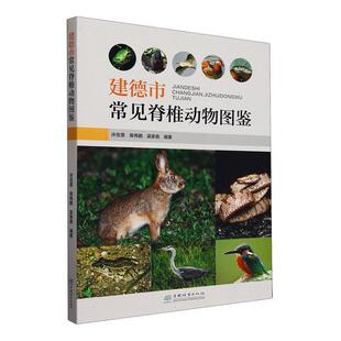 正版建德市常见脊椎动物图鉴许在恩书店自然科学书籍 畅想畅销书