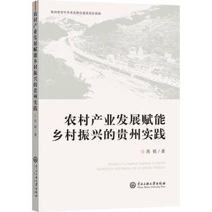 畅想畅销书 贵州实践肖锐书店经济书籍 正版 农村产业发展赋能乡村振兴