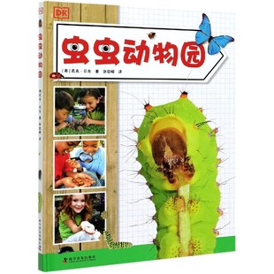 DK蟲蟲動物園 新版 12歲兒童昆蟲百科昆蟲觀察與飼養手冊蟲子國小百科寵物飼養 精裝