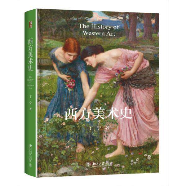 正版包邮 西方美术史丁宁书店艺术书籍 畅想畅销书