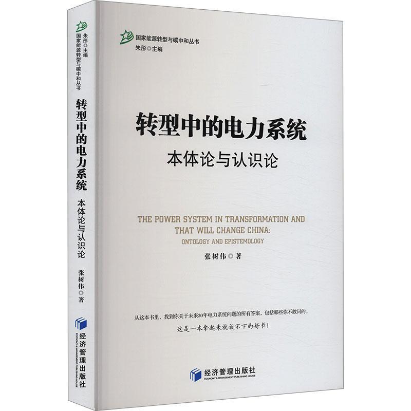正版包邮 转型中的电力系统:本体论与认识论 张树伟 经济书籍 经济管理出版社9787509696569 畅想之星图书专营店
