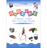 正版包邮 我的中文小图卡-丁丁中文教具 丁丁 书店 对外汉语教材书籍 畅想畅销书