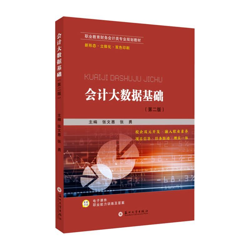 正版会计大数据基础(版)张文惠书店教材书籍 畅想畅销书