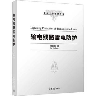 正版包邮 输电线路雷电防护 何金良 清华大学出版社 输电线路 雷电防护 雷击物理过程 线路避雷器 线路书籍9787302627609 畅想之星
