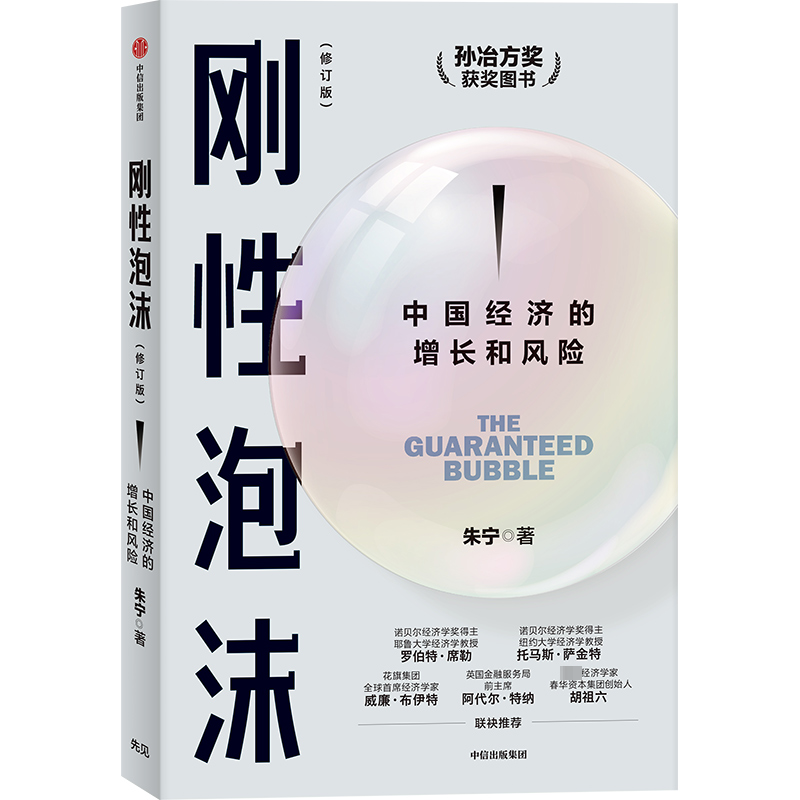 正版刚泡沫:中国经济的增长和风险朱宁书店经济书籍畅想畅销书