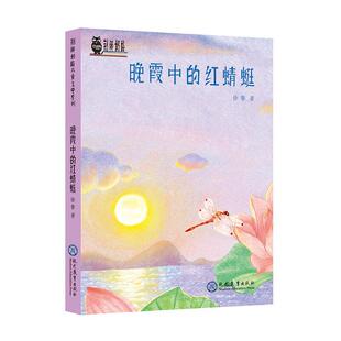 正版晚霞中的红蜻蜓徐鲁书店儿童读物书籍 畅想畅销书