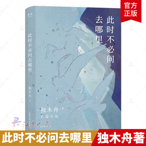 正版包邮 此时不问去哪里 80后文学领军作家独木舟暌违五年2020长篇力作中国当代小说 千万大号转发的金句女 山东文艺出版社