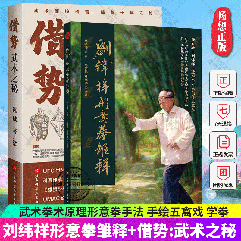 正版刘纬祥形意拳雏释+借势