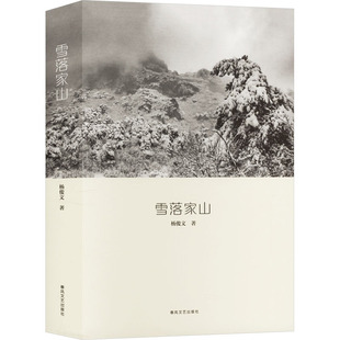 正版 雪落家山 杨俊文 阅读经验与创作理念 中国近代随笔图书书籍 春风文艺出版社9787531368649 畅想之星图书专营店