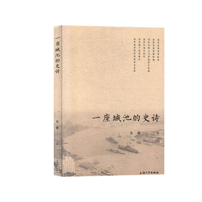 一座城池的史诗