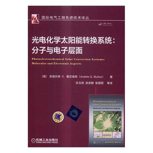 正版包邮 光电化学太阳能转换系统:分子与电子层面 安德烈斯穆尼奥斯 书店 发电、发电厂书籍 畅想畅销书
