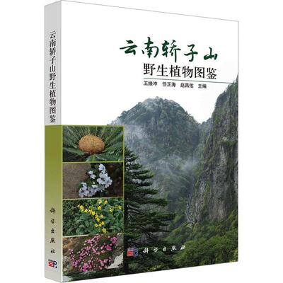 正版云南轿子雪山野生植物图鉴王焕冲书店自然科学书籍 畅想畅销书