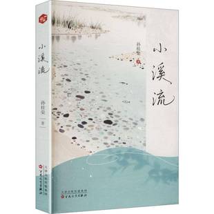 小溪流孙桂荣图书书籍