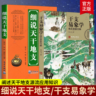 正版包邮 细说天干地支+干支易象学 梅花易数注解 天文学书籍 阐述天干地支源流应用知识 展示天干地支传统文化 梅花易数书籍