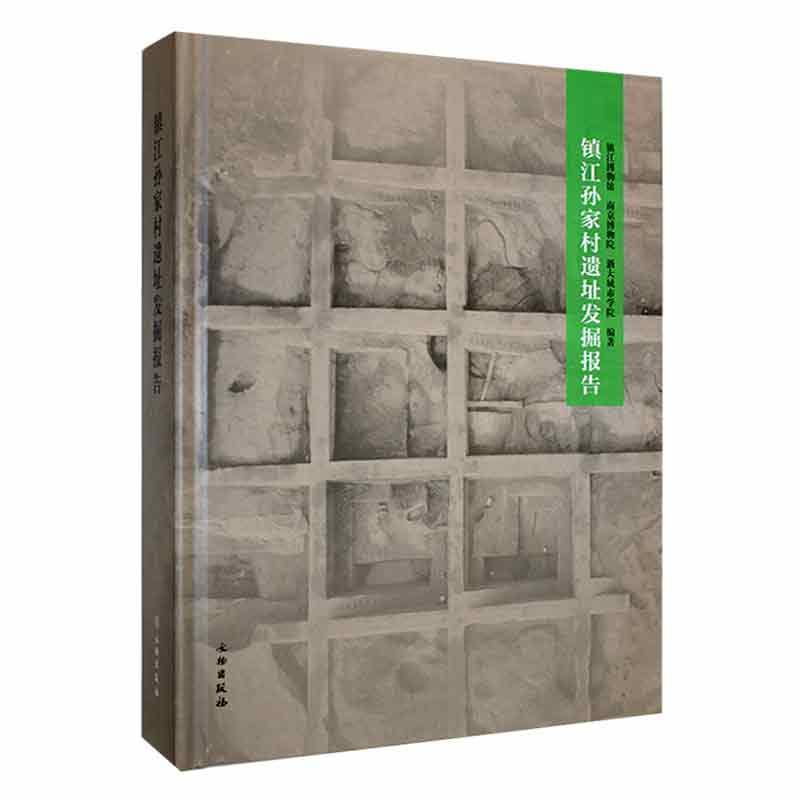 正版镇江孙家村遗址发掘报告何汉生书店历史书籍 畅想畅销书