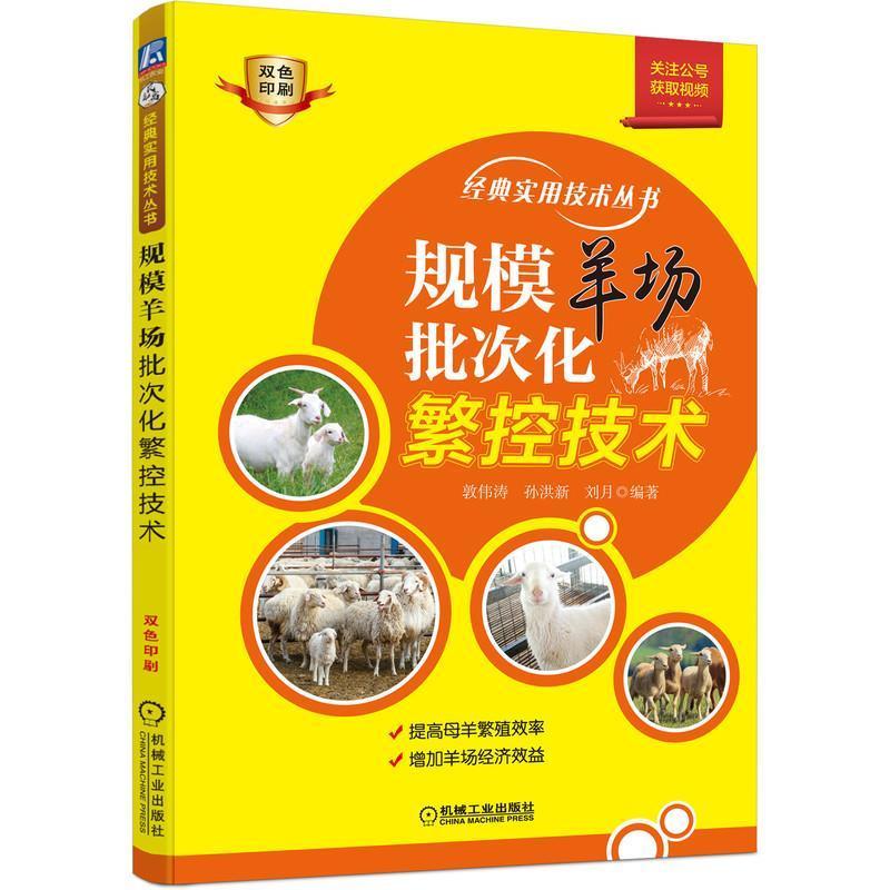 正版规模羊场批次化繁控技术敦伟涛书店农业、林业书籍 畅想畅销书