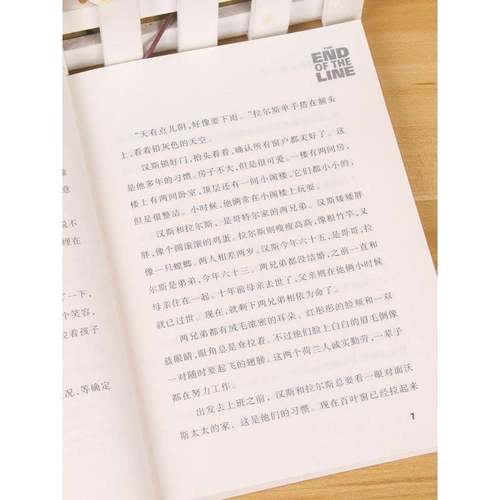 电车上的陌生人莎朗·麦凯伊儿童读物书籍