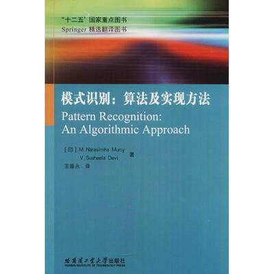 正版模式识别:算法及实现方法:an algorithmic approach书店自然科学书籍 畅想畅销书